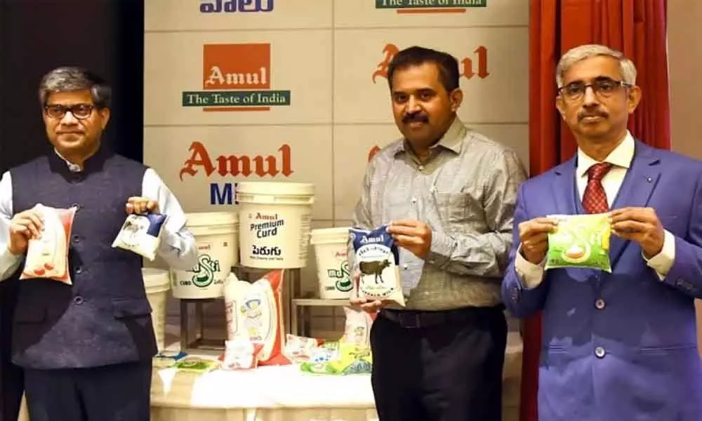 Vijayawada: Amul formally launches milk, curd