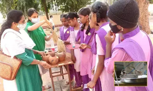 Campaign: Volunteers creating awareness among school students about making a bird feeder