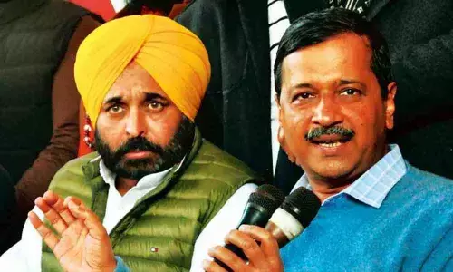 Capitalising on AAPortunity