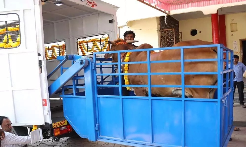 Hyderabad-based NGO donates first of its kind Cattle Rescue Ambulance