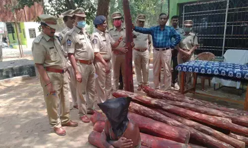SP Meda Sundar Rao producing the accused and the seized red sanders logs before the media at the Task Force office in Tirupati on Tuesday