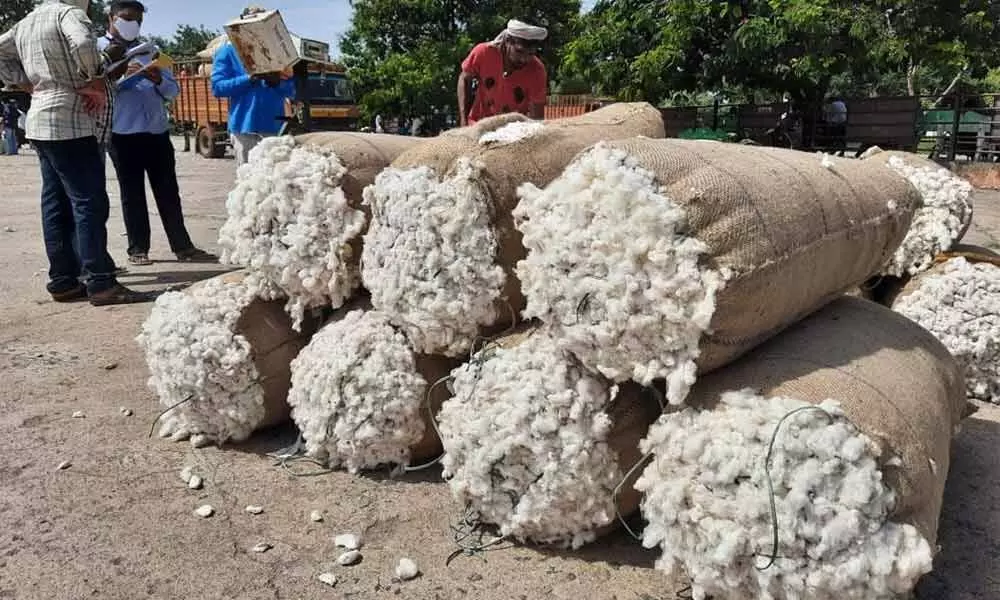 Price of cotton hit all-time high in Warangal market yard