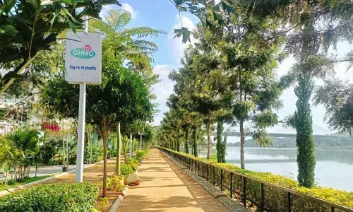 GHMC to shore up green cover of city