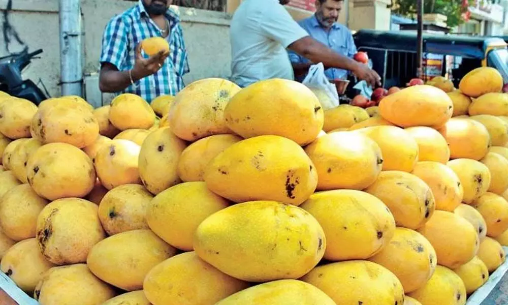 South Korea tops in importing Andhra Pradeshs Banganapalle mangoes