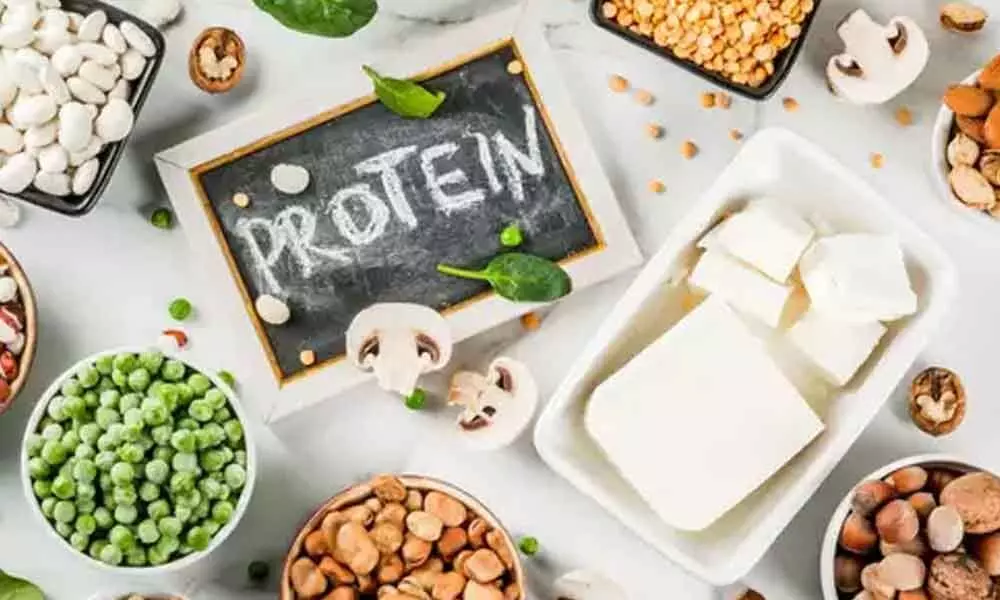 Consuming Proteins in Excess