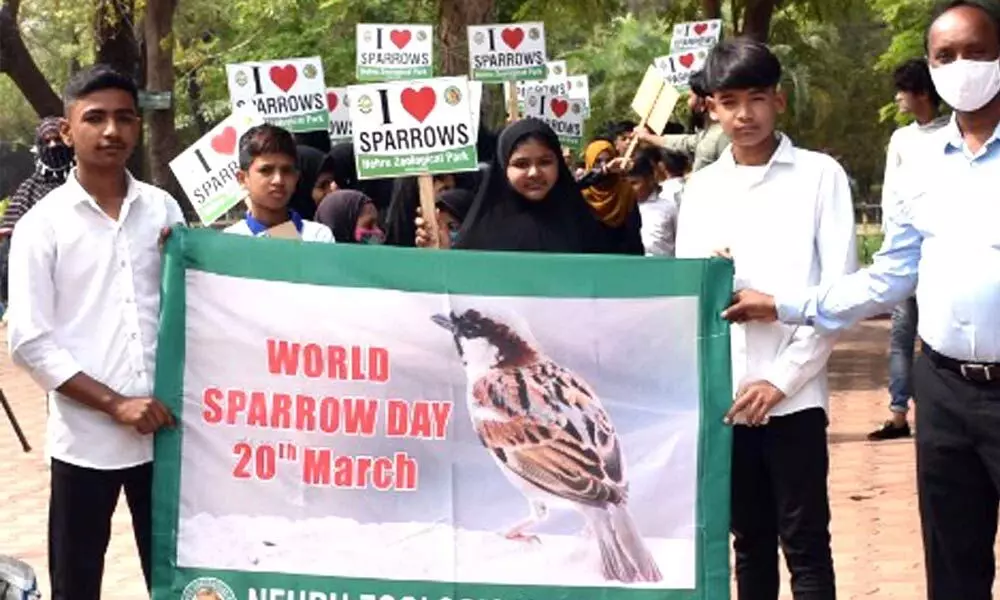 Students bat for protection of sparrows