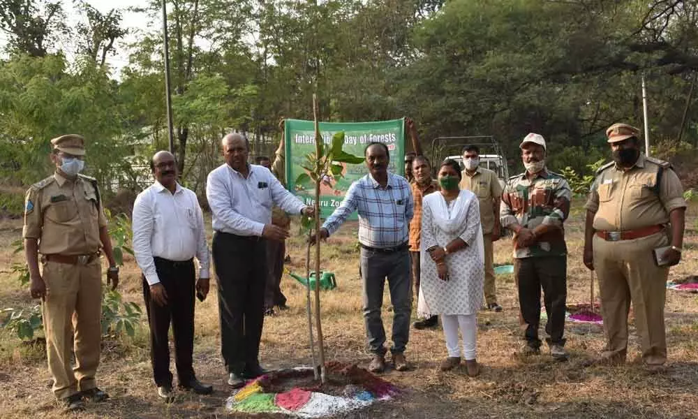 Nehru Park celebrates International Day of Forests