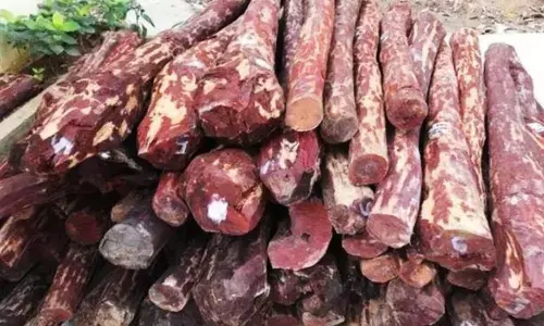 Probe ordered as accused escape despite being handcuffed