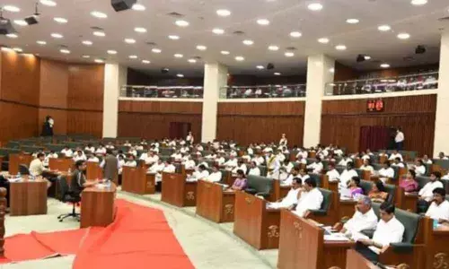 Andhra Pradesh assembly