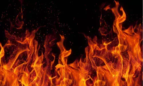 For representational purpose only