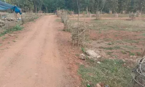 Jagananna colony layout at Kosamaala village in Meliaputti mandal