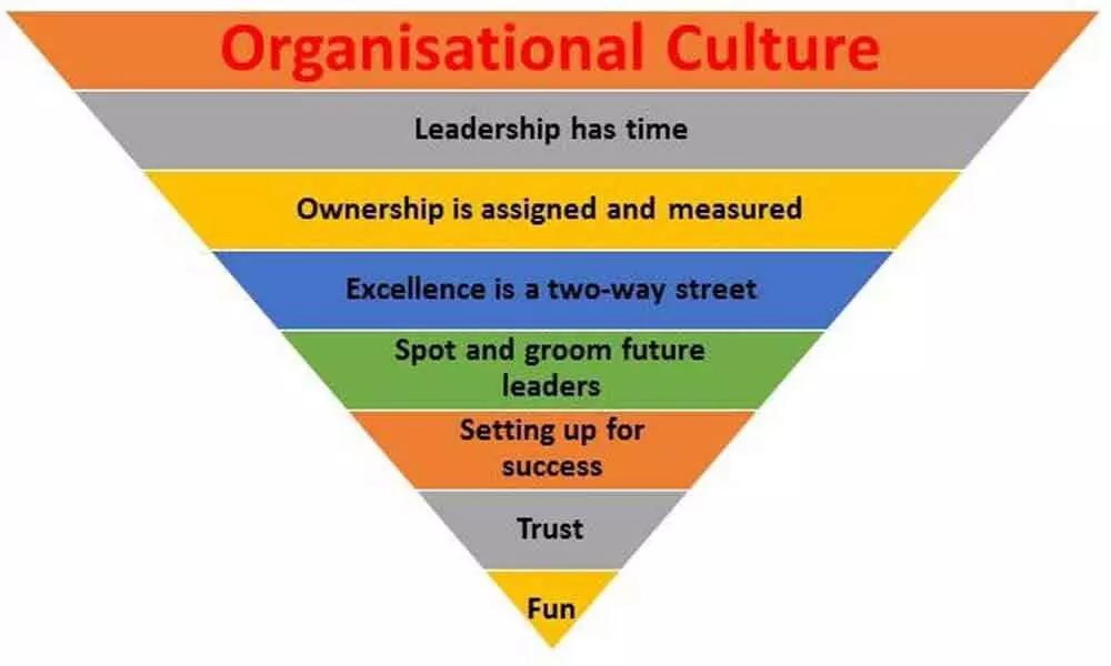 Consequences of organisational culture
