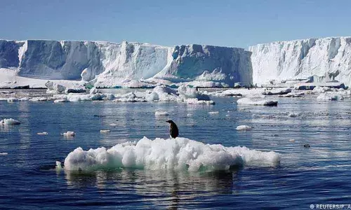 Rising sea levels signal disaster