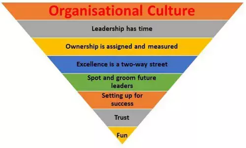 Consequences of organisational culture