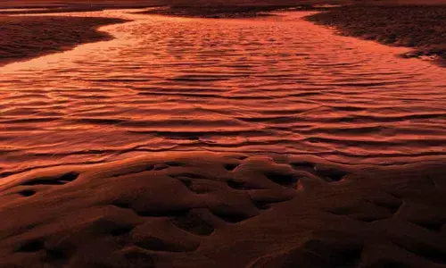 More than 5,000 worlds exist beyond our solar system. There could be billions more