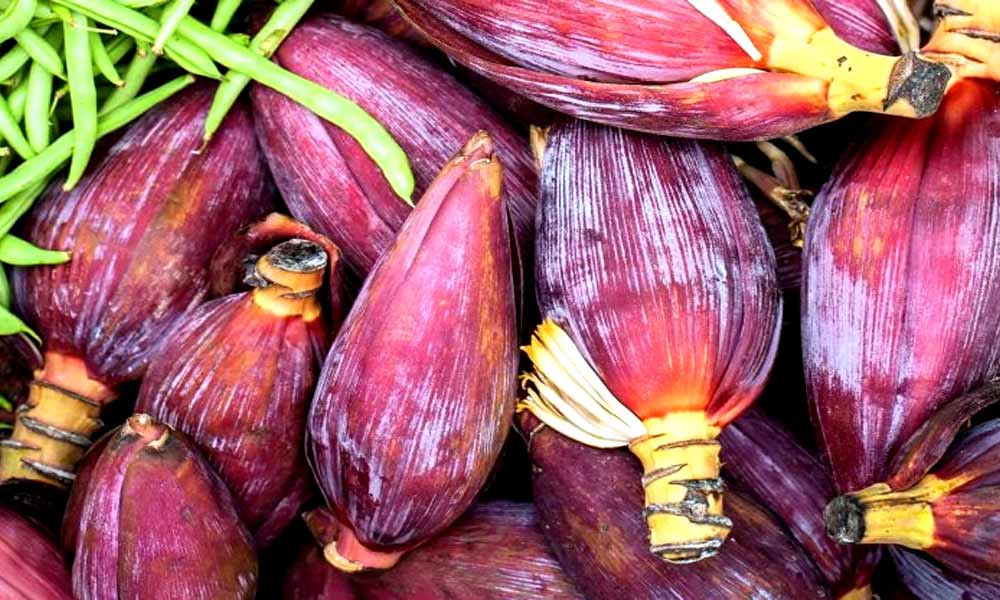 Banana Flower or Banana Blossom is Superfood Know its benefits