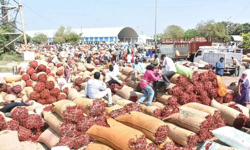 Enumamula Agriculture Market Yard in Warangal