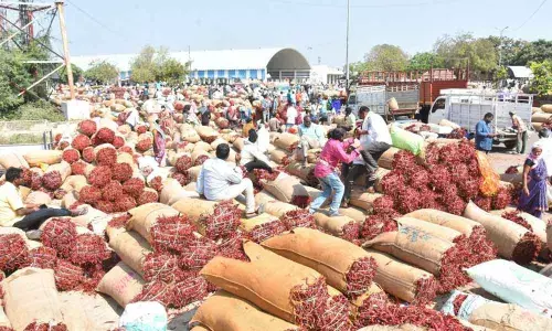 File pic: Enumamula Agriculture Market Yard in Warangal