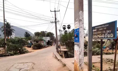 A view of Appannapalem Panchayat Colony
