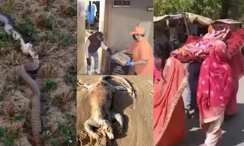 Top Trending Videos Of The Week