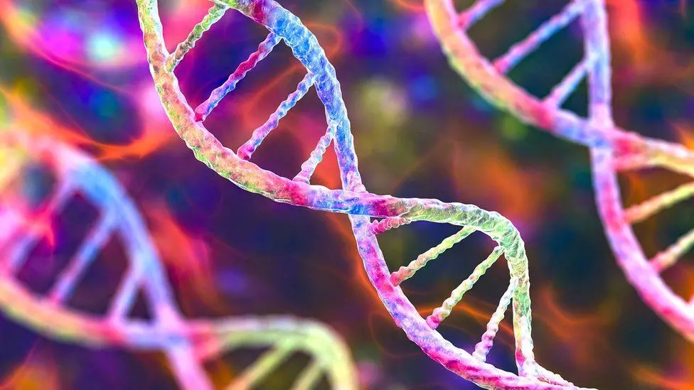 Scientist say, for the very 1st time they have completed Gap Free Human Genome Sequence