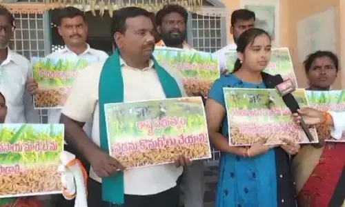 Choppadandi Mandal Praja Parishad passed a resolution asking the State government to procure the paddy on Saturday