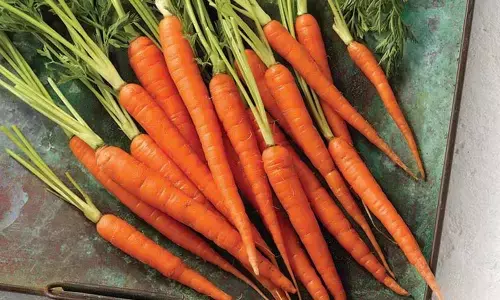 International Carrot Day