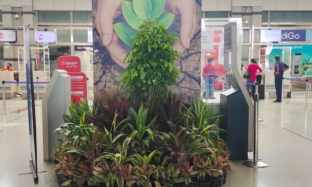 52 plant varieties housed in 600 pots put on display at Mangaluru airport