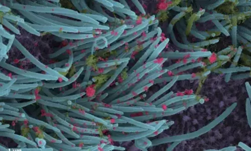 For representational purpose