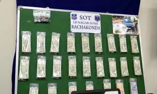 Online cricket betting racket busted, 9 held