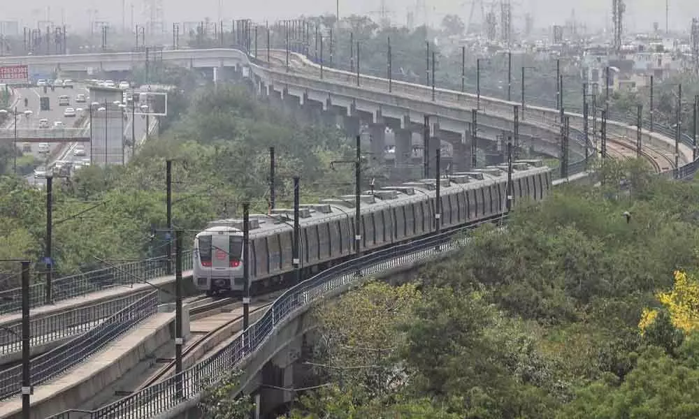 Over 3,000 trees to be removed for Delhi Metros Phase 4