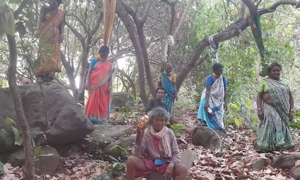 Tribals stage mock hanging protest over cutting down of cashew and mango plantations at Urulova in Visakhapatnam