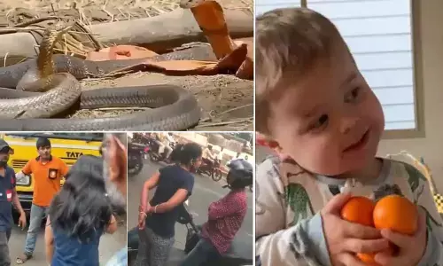 Top Trending Videos Of The Week