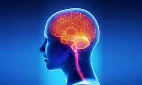 Researchers map rapid growth, slow decline of human brain