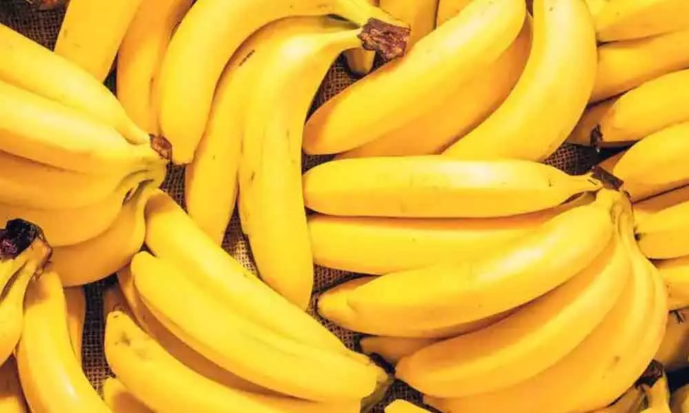 Andhra banana to be in Canada soon
