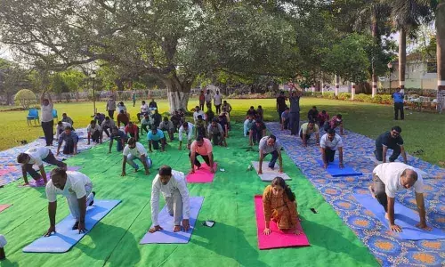 VSEZ staff performing a yoga position on Saturday