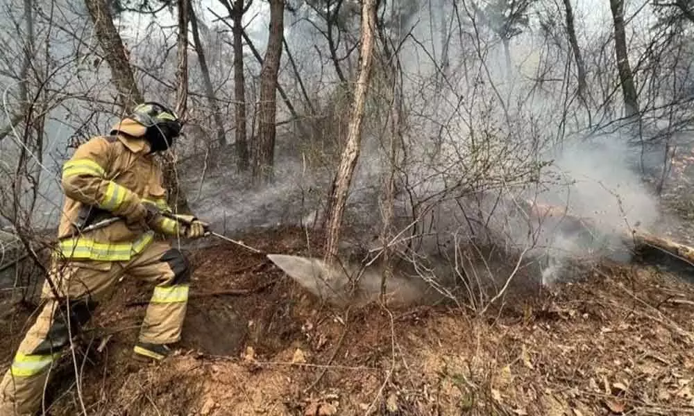 Wildfire burns 521 hectares of woodland near inter-Korean border