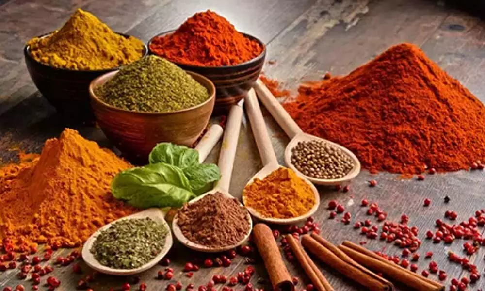 DPGC launches a range of new-age blended spices
