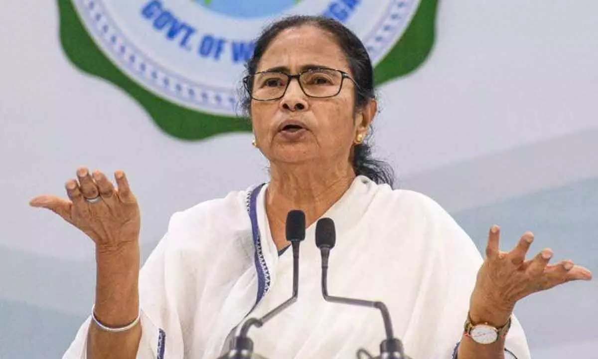 Mamata condemns policy of isolating industrialists in India