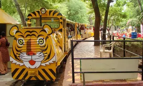 Exhibiting exquisite creations