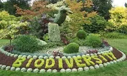 Bio-diversity park to be set up at Champajhar