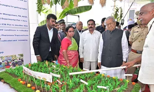 Governor Biswa Bhusan Harichandan visiting a stall at Rythu Bharosa Kendra at Vanukuru village on Wednesday