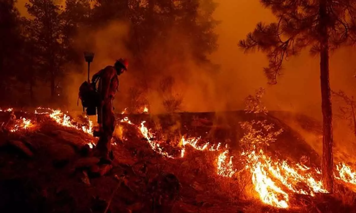 Destructive wildfires rage in New Mexico, Colorado