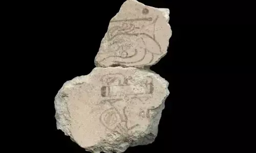 Archaeologist Probably Discovered The Earliest Unequivocal Evidence Of Maya Sacred Calendar