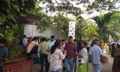 Tourists throng Mysuru, Kodagu; home stays, hotels see 100 pc occupancy