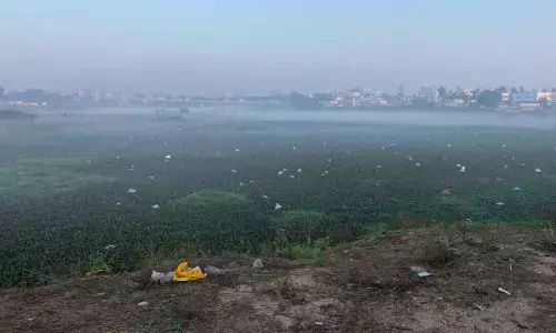 Hyderabad: Land sharks swallowing RK Puram Lake