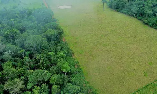 Dilution of green norms draws severe flak