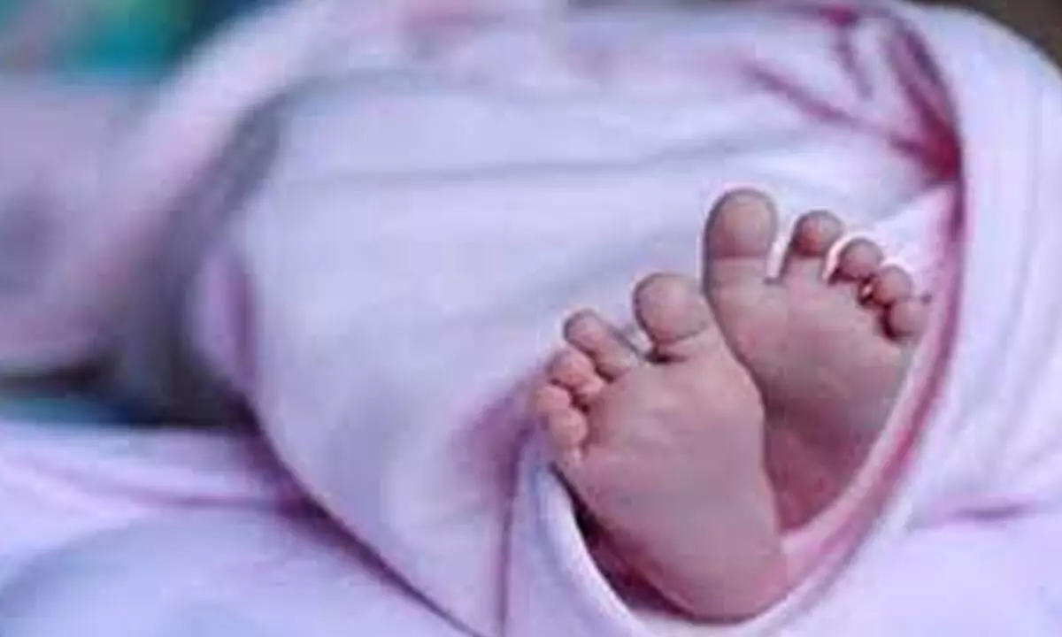 Child deaths in maternity hospital trigger alarm