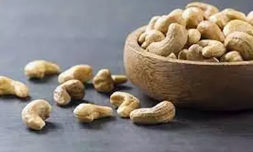Cashew growers demand reasonable price