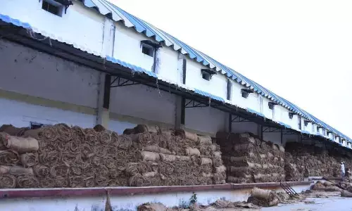 Where to store fresh stock of paddy?